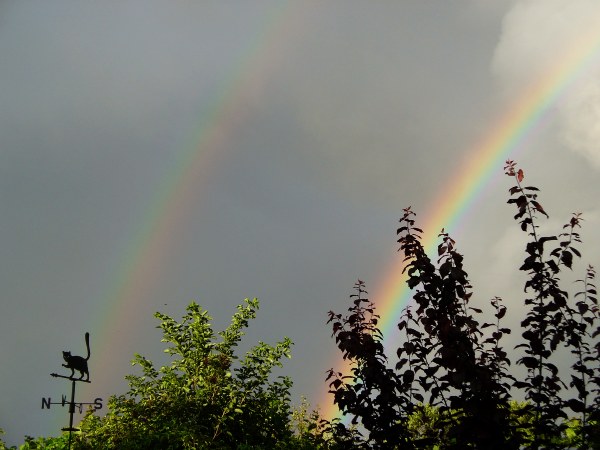 regenbogen2.jpg
