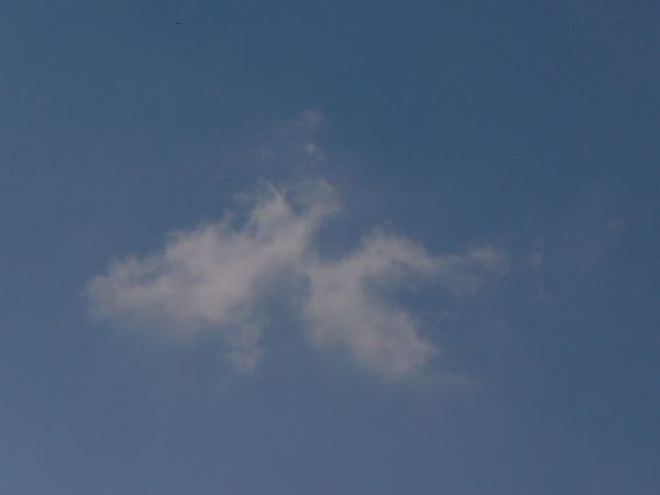 cumulus7.jpg