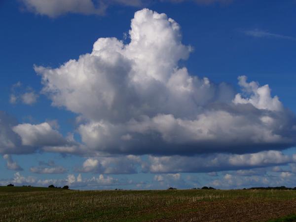 cumulus8.jpg