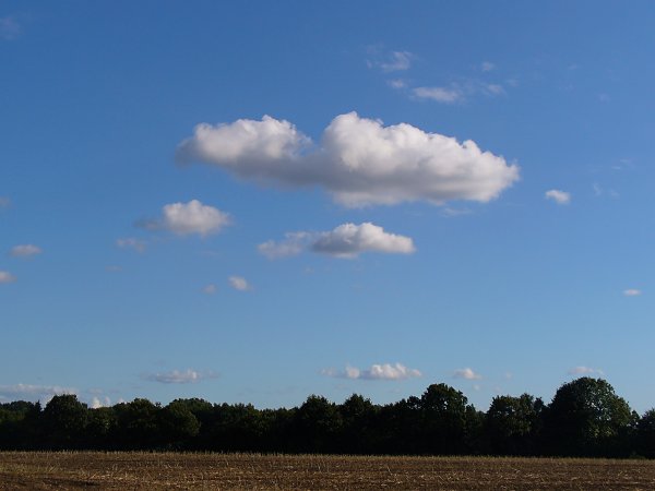 cumulus9.jpg